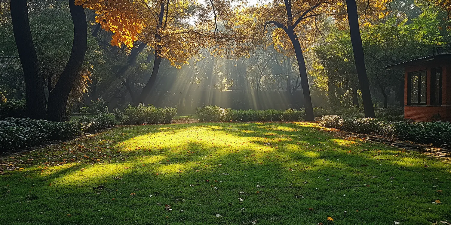 Dlaczego trawa z rolki żółknie?