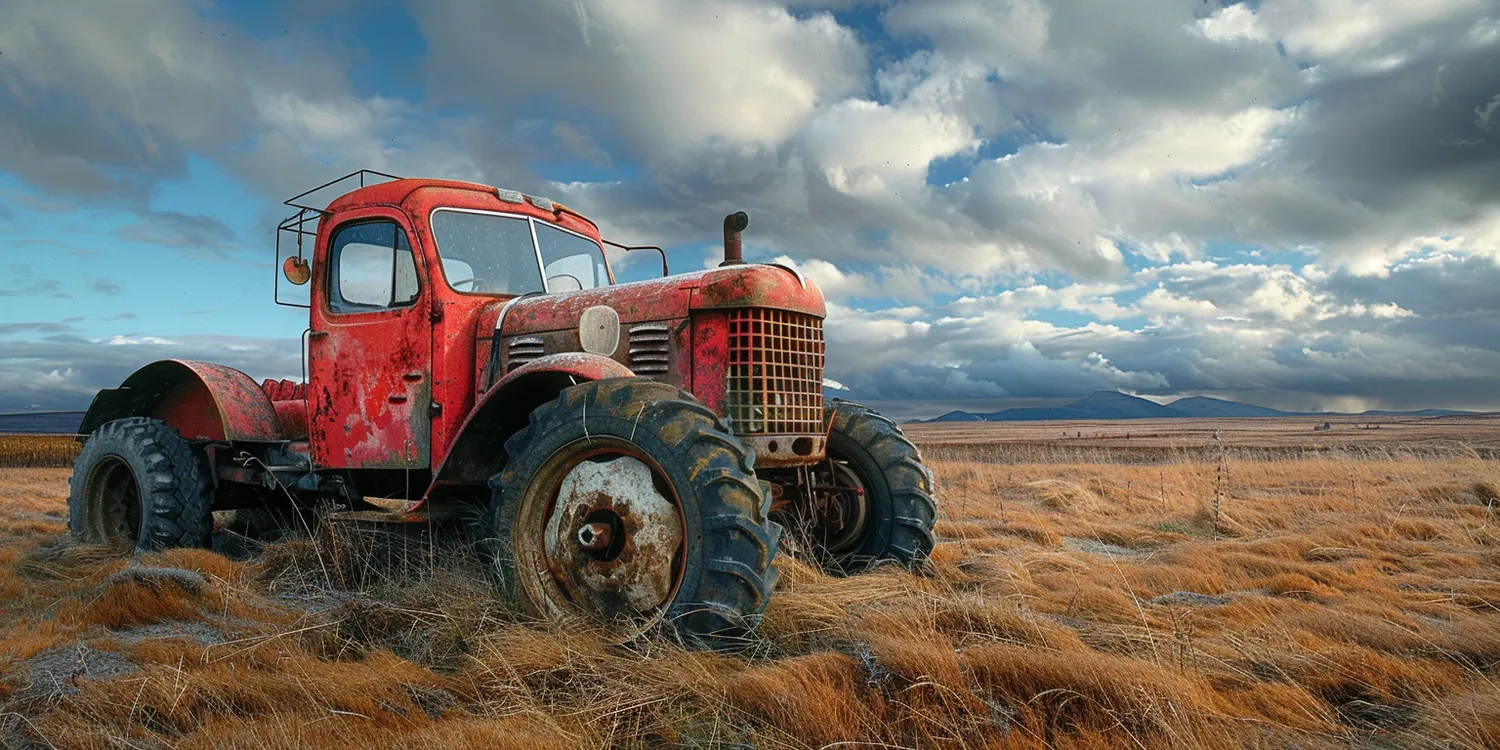 Do kiedy trawa z rolki?