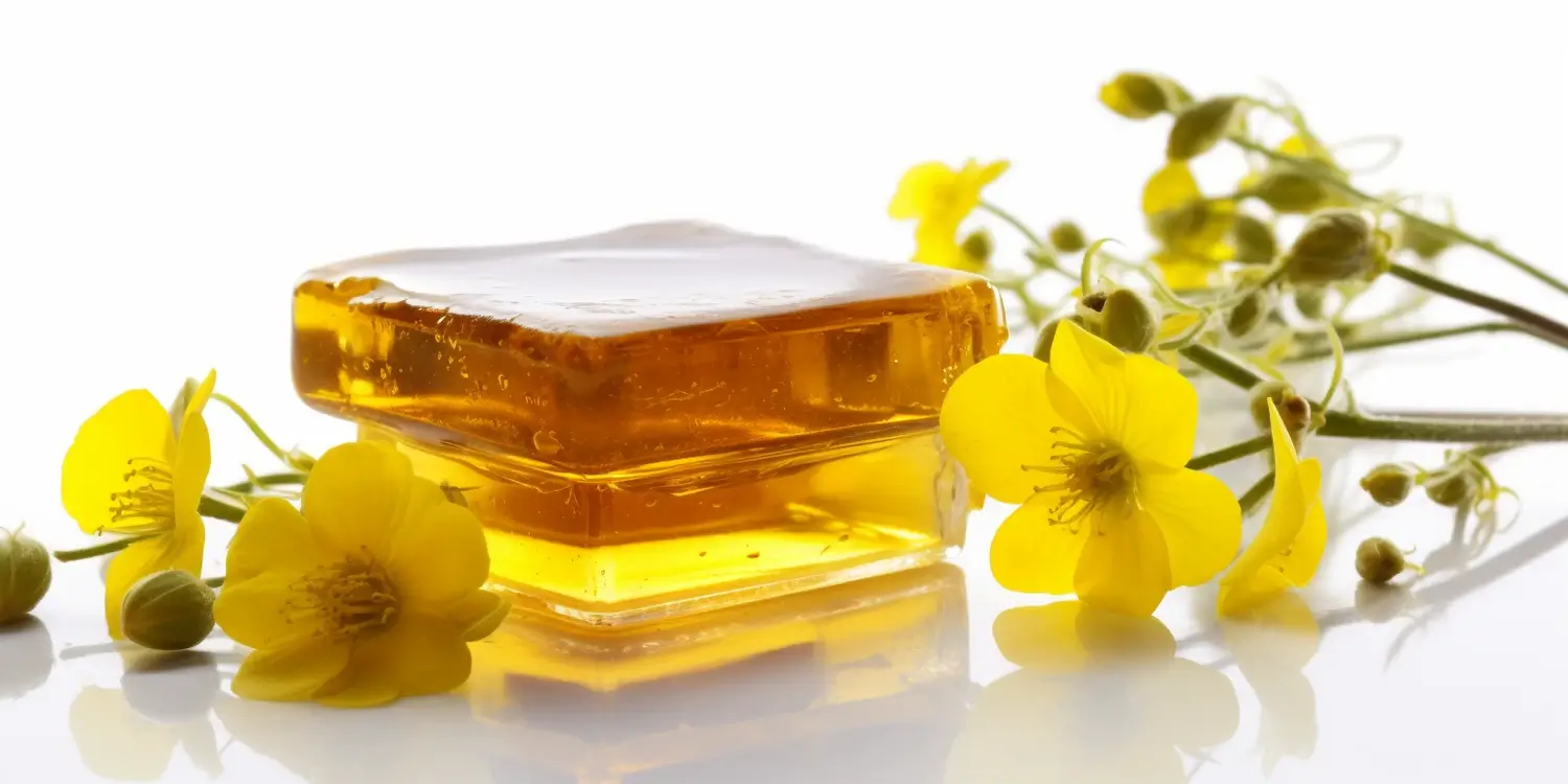 Miód lipowy kiedy zbieramy?