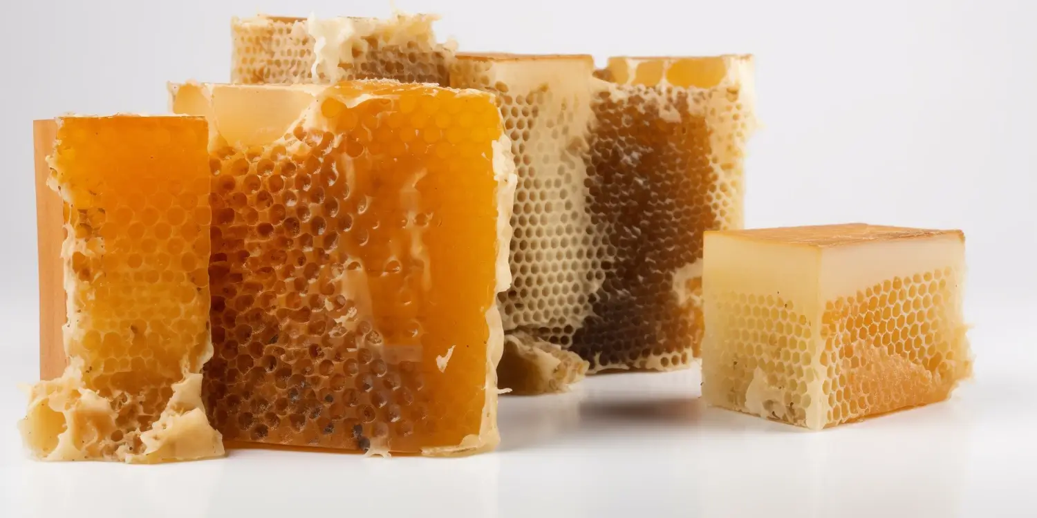 Co leczy miód spadziowy?