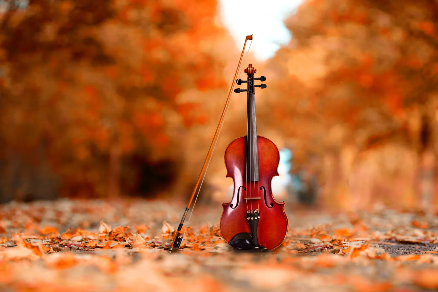 Czy warto chodzić do szkoły muzycznej?