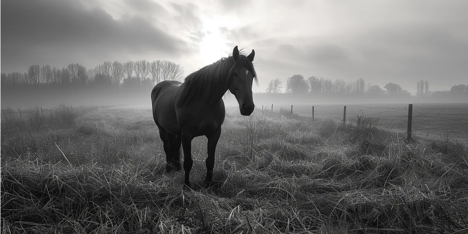Pochowaj pupila z szacunkiem w krematorium dla zwierząt